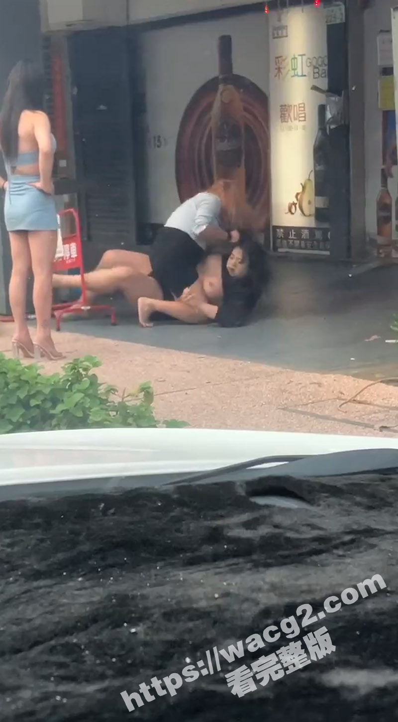 台湾高雄 一胖一瘦俩相关图片