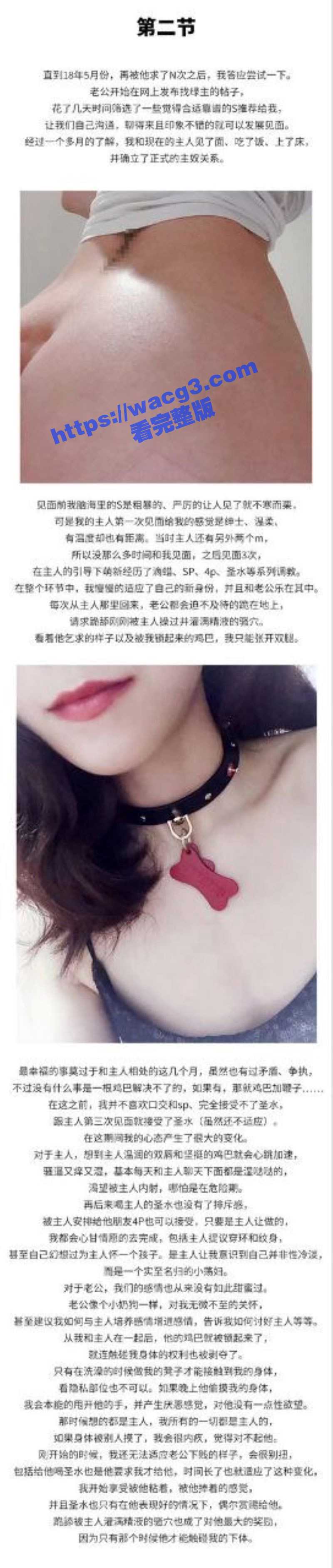 绿帽夫妻 轻舟与江陵相关图片