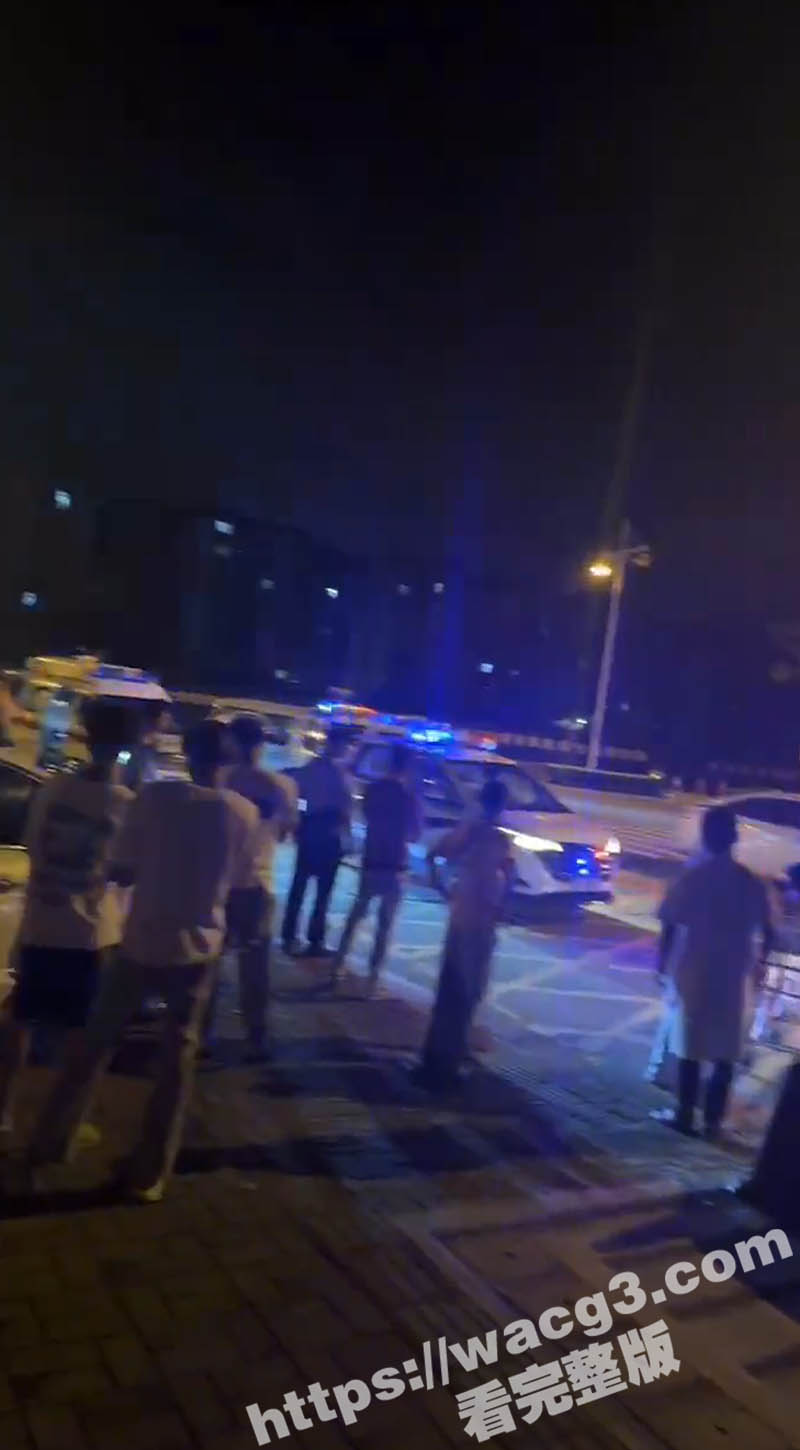 暴躁的女司机！广东鹤相关图片