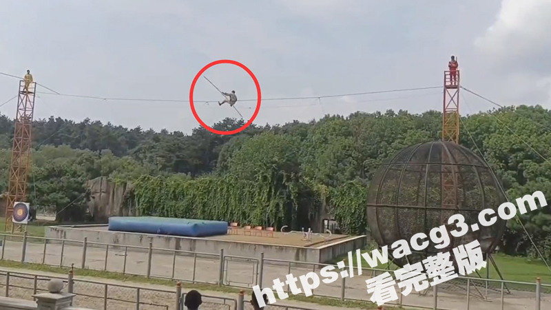 吉林长春东北虎园杂技演员走钢丝高空表演时失足不慎高空坠落 生死不明！