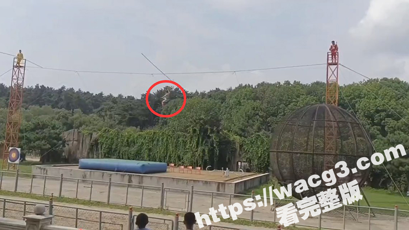 吉林长春东北虎园杂技相关图片