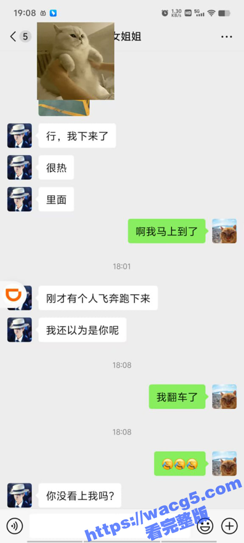 抖音认识的东北少妇 相关图片