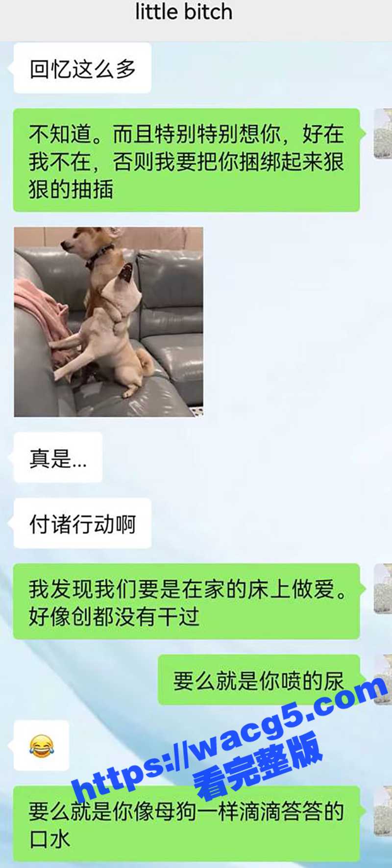 看调教大神如何把别人相关图片