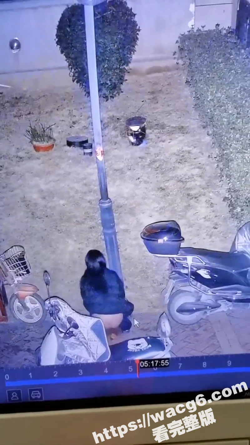翘臀小妹小区当众排便相关图片
