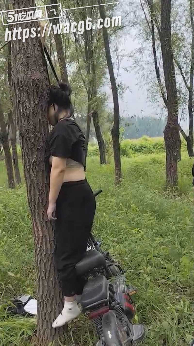 在河南省濮阳市台前县相关图片