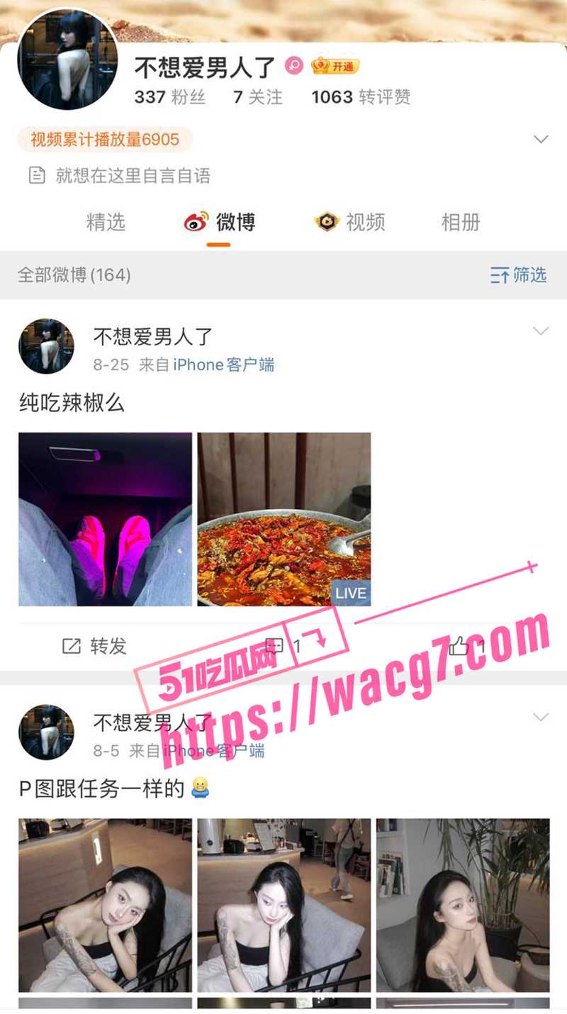 上海车模兼 kitt相关图片