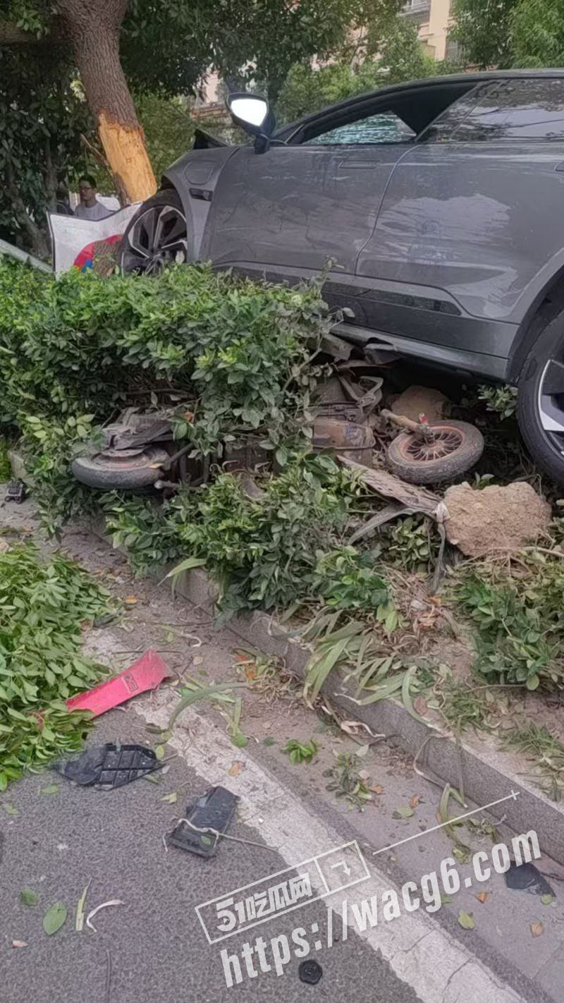 新瓜速递 张家港市金相关图片