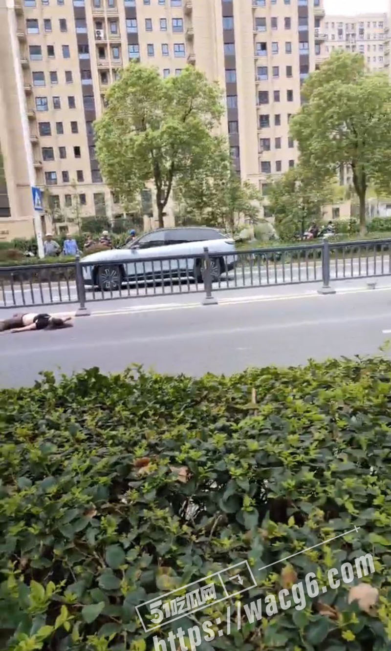新瓜速递 张家港市金相关图片