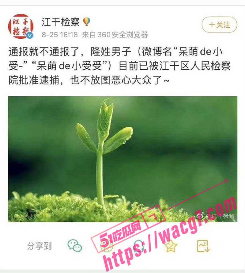 呆萌de小受受嫁给同相关图片