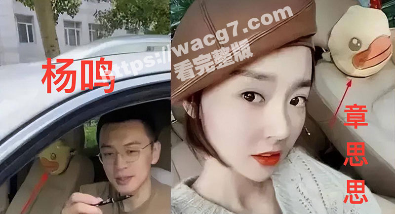 辽宁男篮主教练杨鸣出相关图片