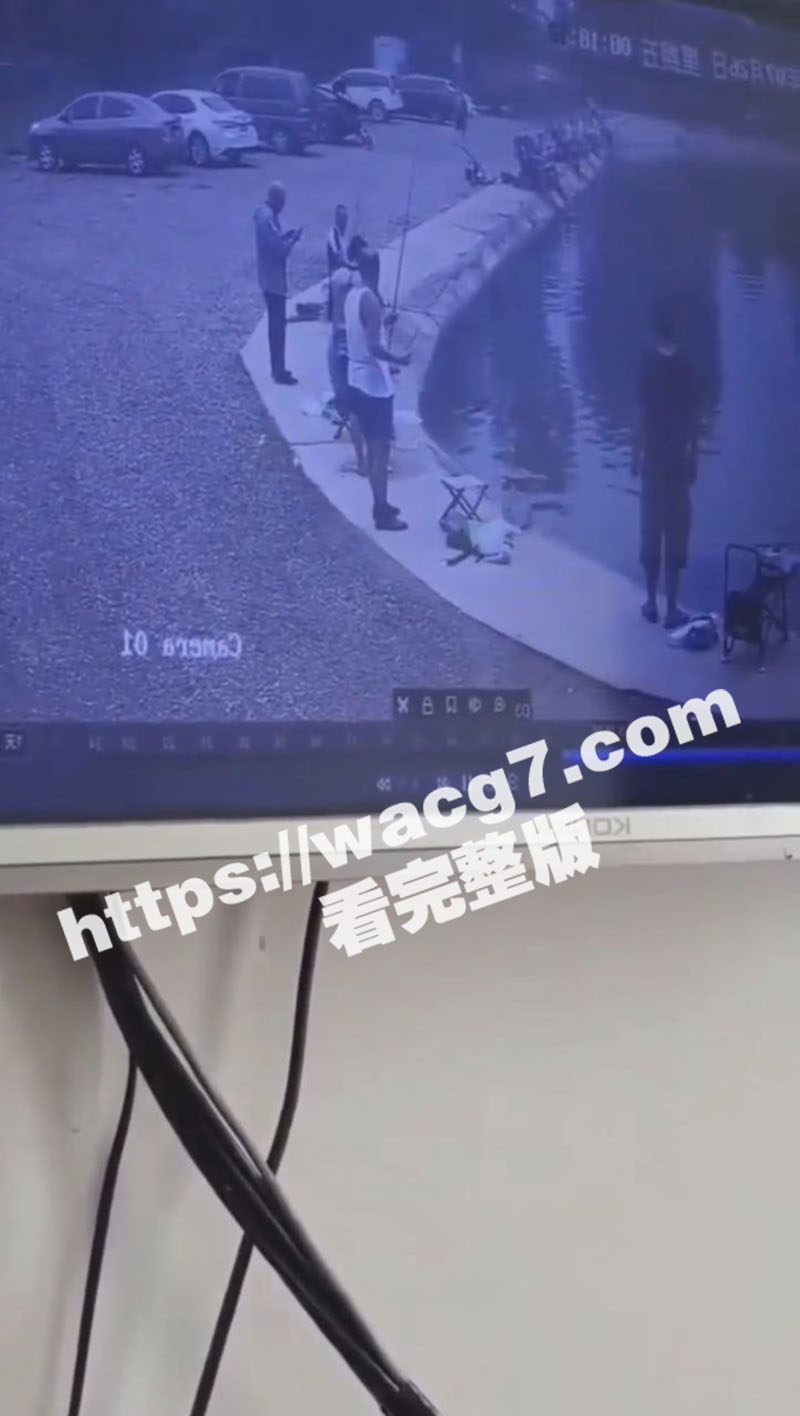 钓鱼佬太坐怀不乱了 看到有人被倒车撞到水里面都无动于衷 只惦记着自己手里的鱼竿