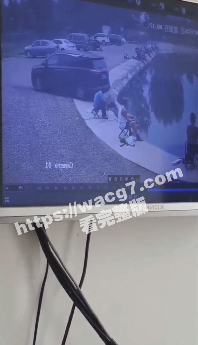 钓鱼佬太坐怀不乱了 相关图片