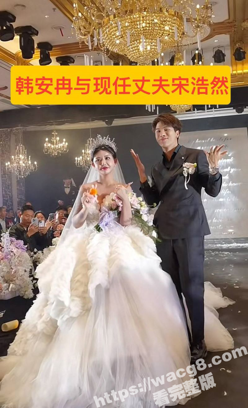 韩安冉自曝婚内出轨！相关图片