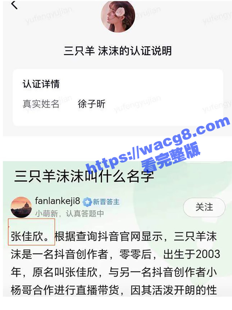 辛巴小杨哥互撕升级 相关图片