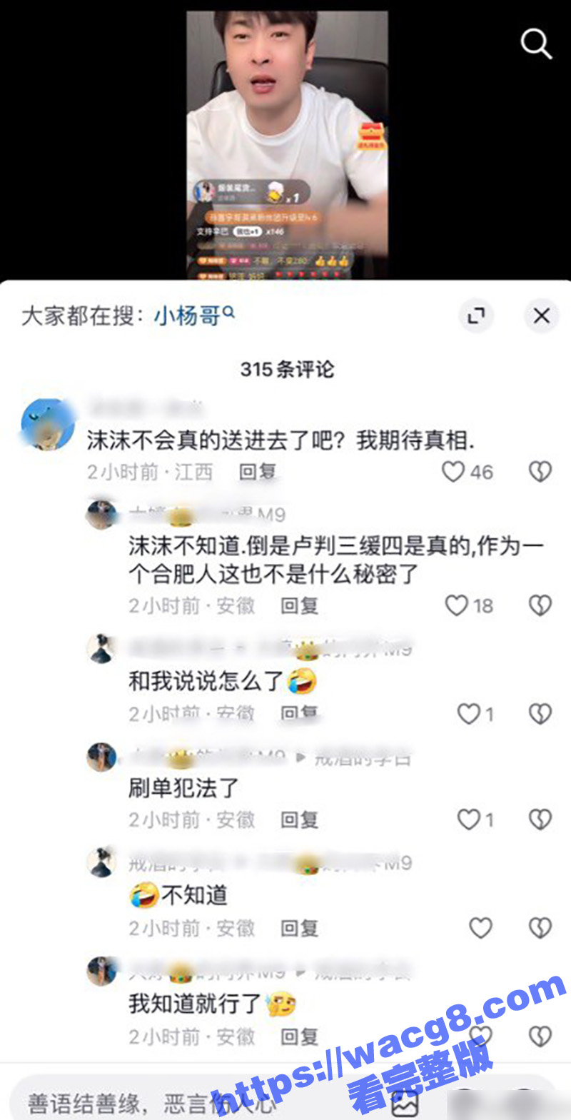 辛巴小杨哥互撕升级 相关图片