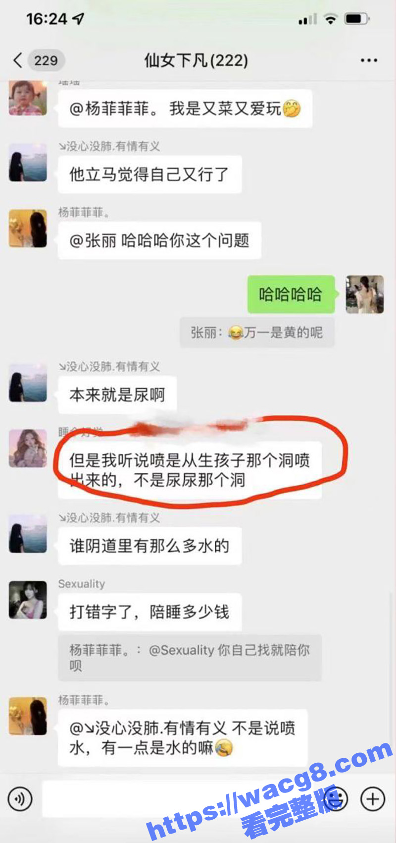 小仙女的群聊内容 真相关图片