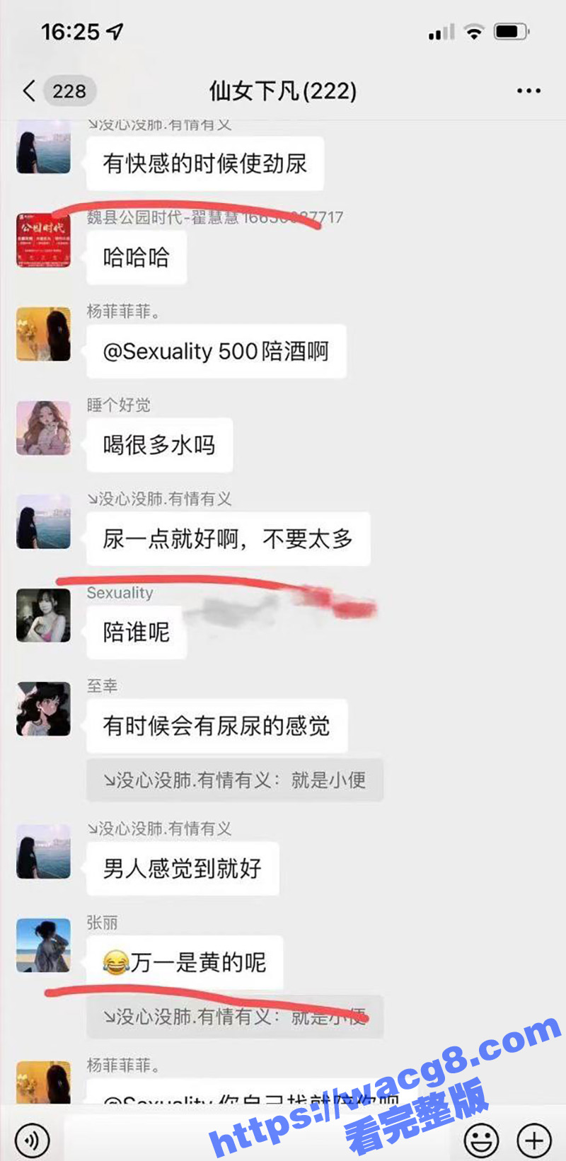 小仙女的群聊内容 真相关图片