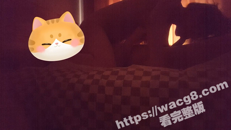 嫖妓大神 喇叭哥 打相关图片
