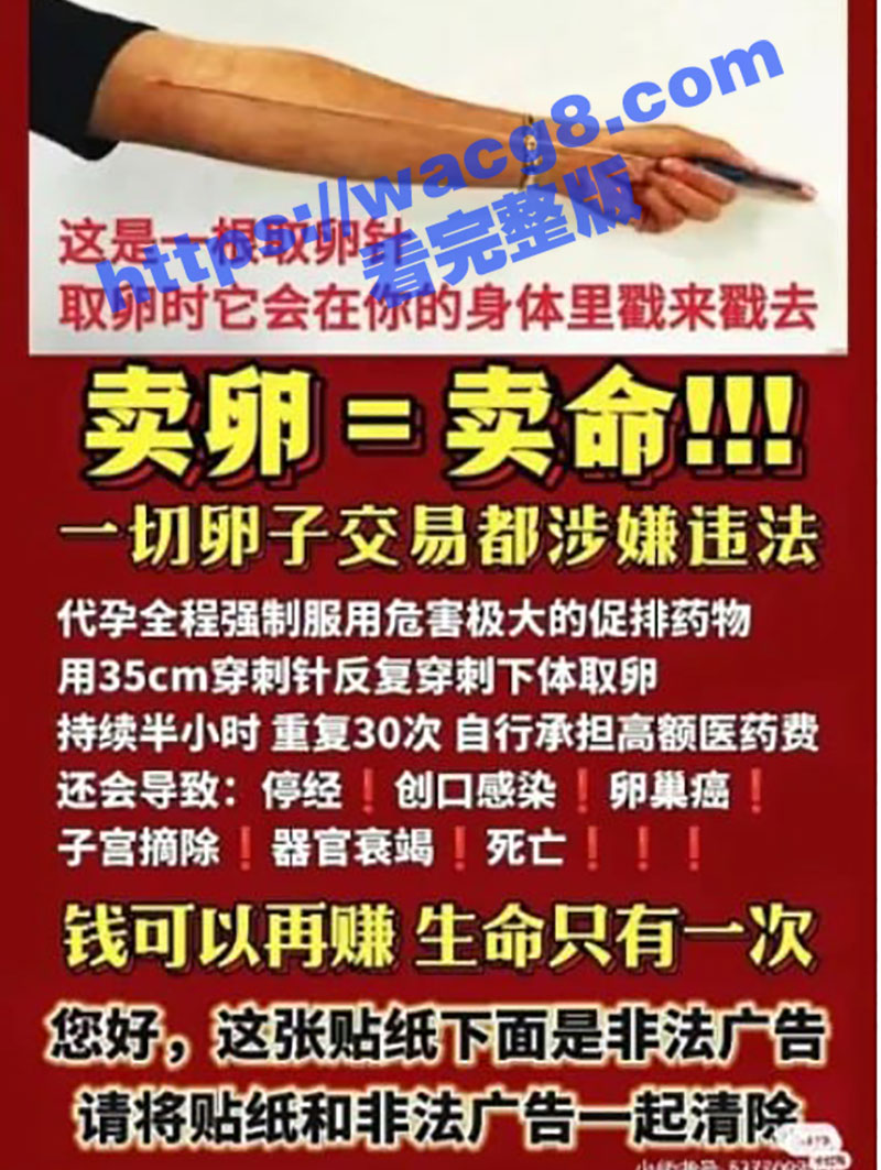青岛汽贸城代孕实验室相关图片