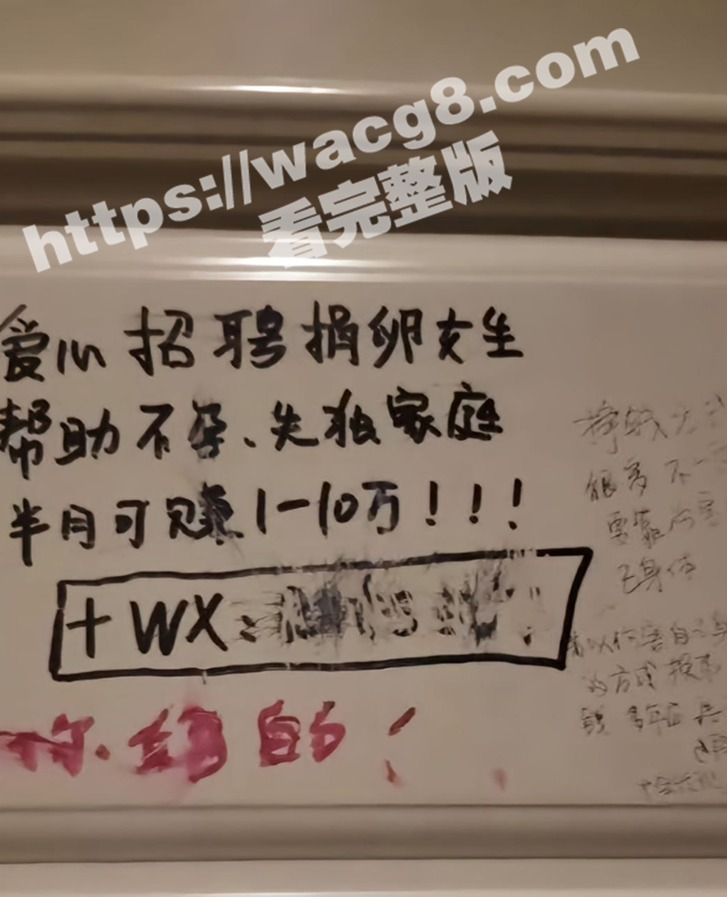 青岛汽贸城代孕实验室被曝光 把人当牲口明码标价75万一个包生包成 不知动了谁的蛋糕现在热度被压下