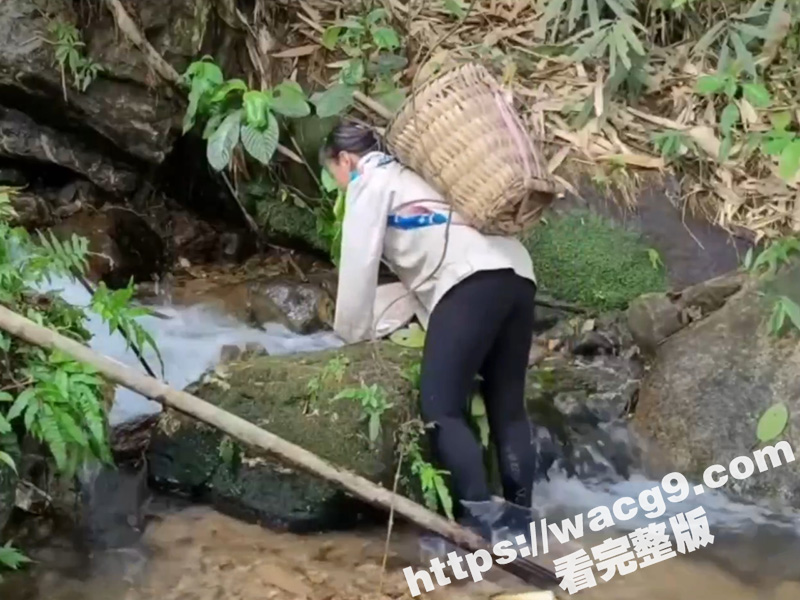 快手擦边短视频竹笋炒相关图片