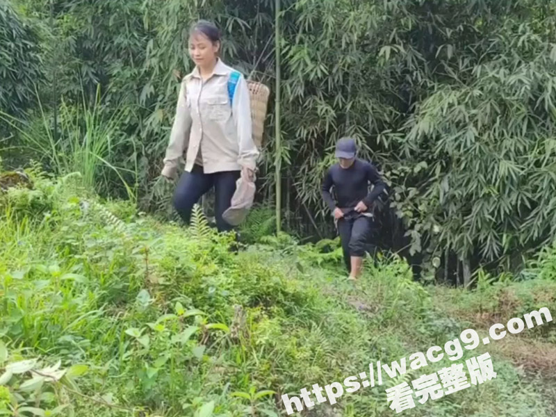 快手擦边短视频竹笋炒相关图片