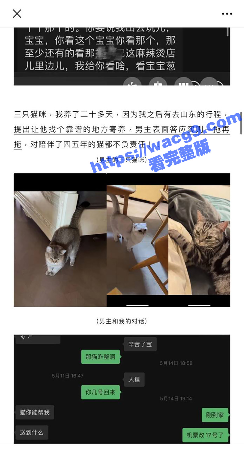 抖音百万网红九头身日相关图片