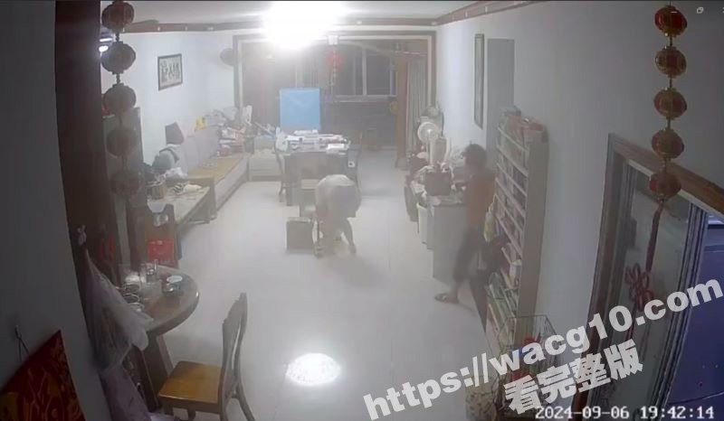 浙江一女子实名举报自相关图片