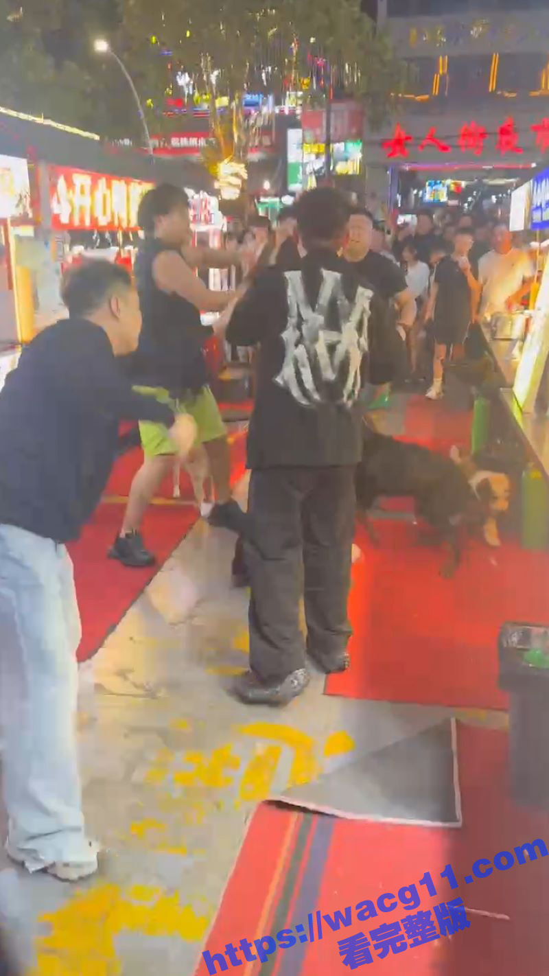 网红 腾导 在临沂兰相关图片