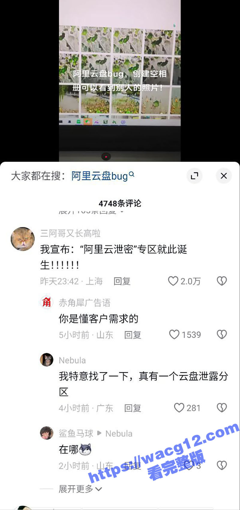 阿里云盘近日出现史无相关图片