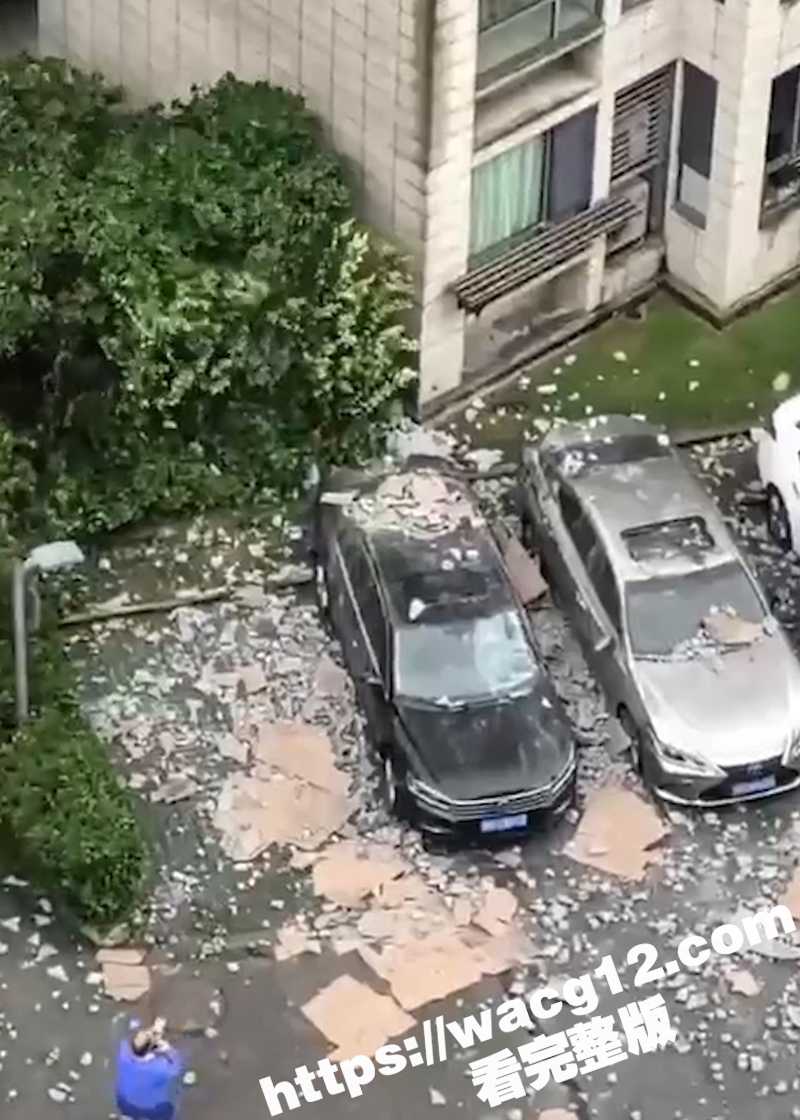 台风天意外收获！狂风相关图片