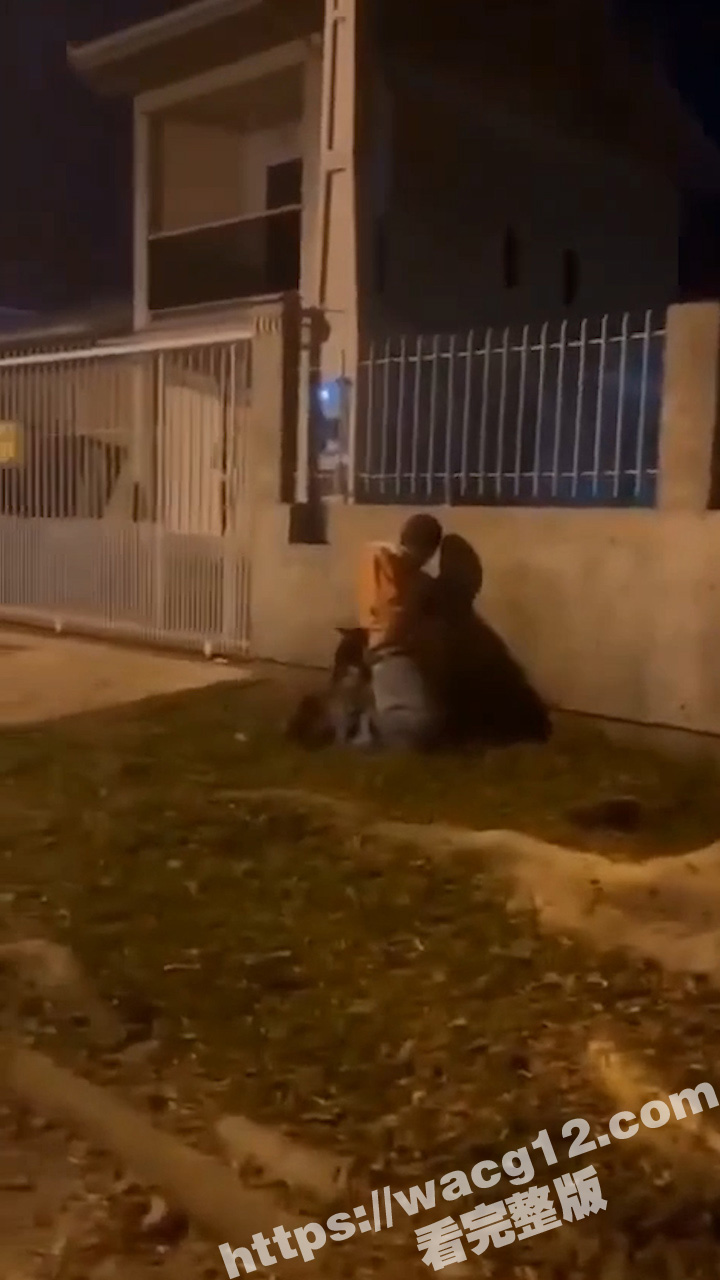 巴西一名男子在 卡纳斯维埃拉斯 性侵一只狗时被当场抓获 现场视频相当炸裂颠覆三观！