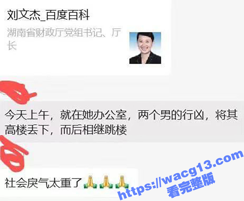 湖南省财政厅 厅长刘相关图片