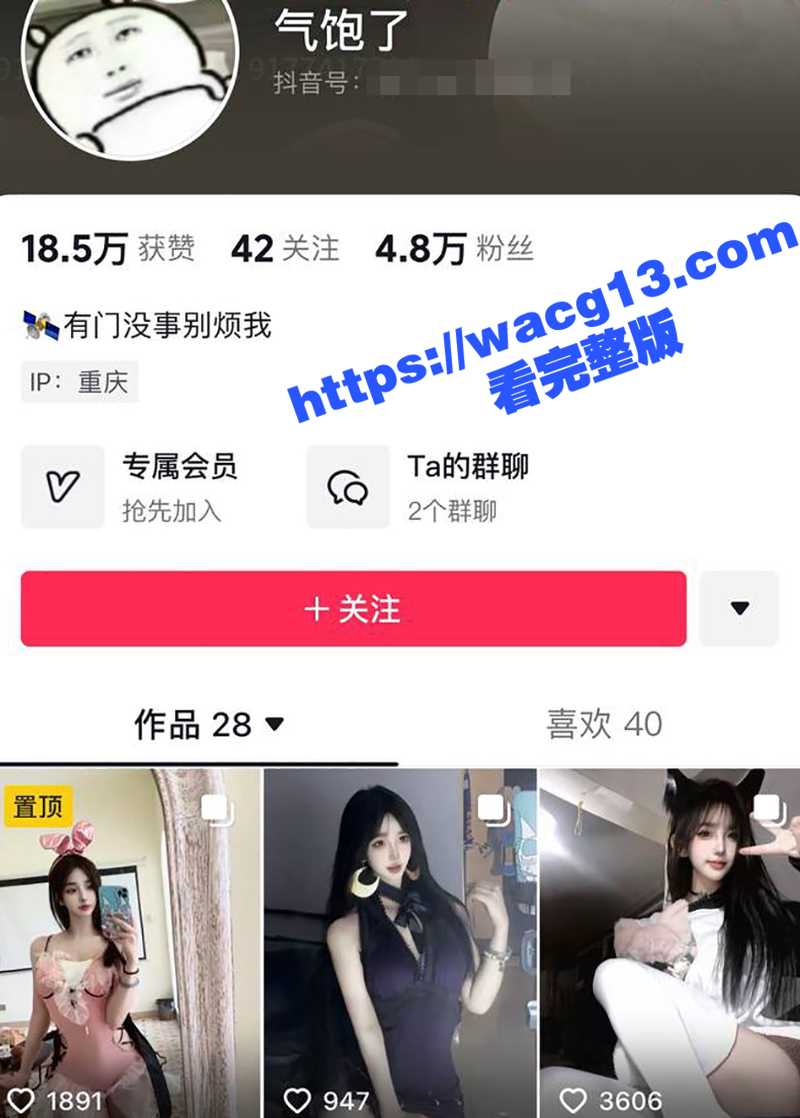 重庆网红 虎孃Pan相关图片