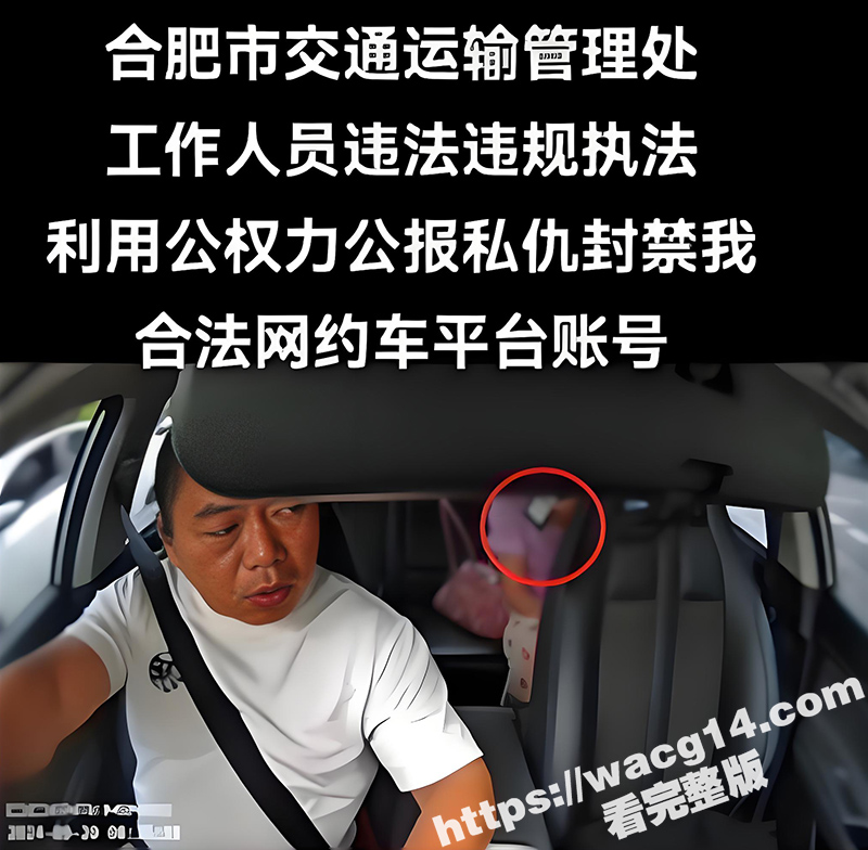合肥亮证姐 强行执法女结局 司机身份曝光 官方通报 涉事人员调离岗位！