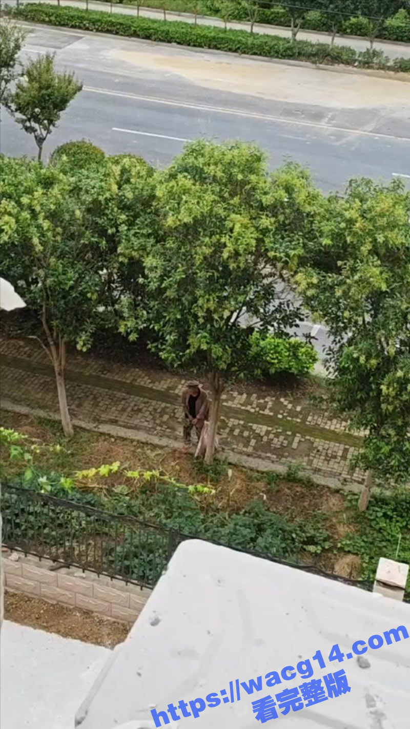 江苏大丰高级中学 一相关图片