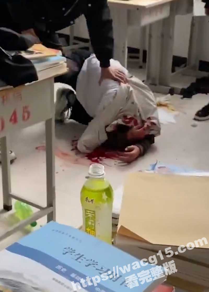 河南鹤壁技师学院校园相关图片