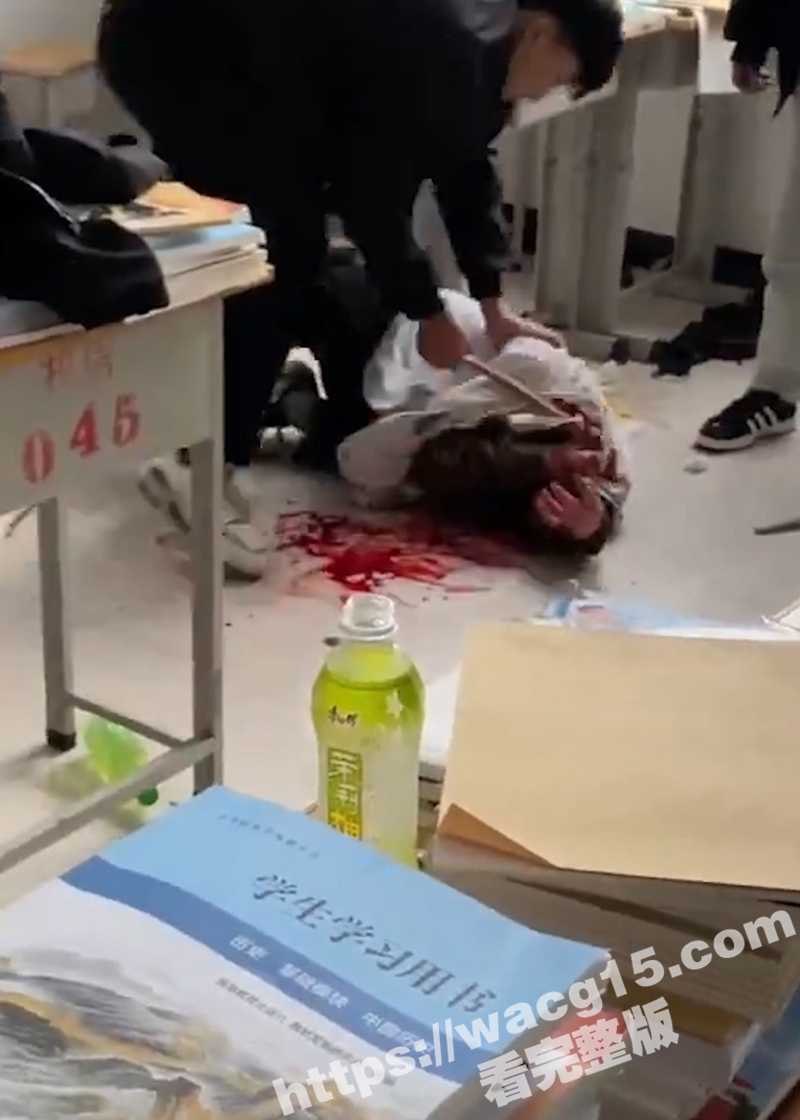 河南鹤壁技师学院校园相关图片