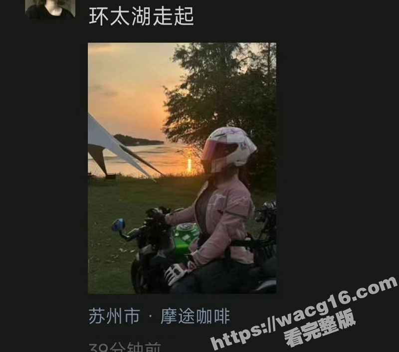 网红女骑士石膏Pro相关图片