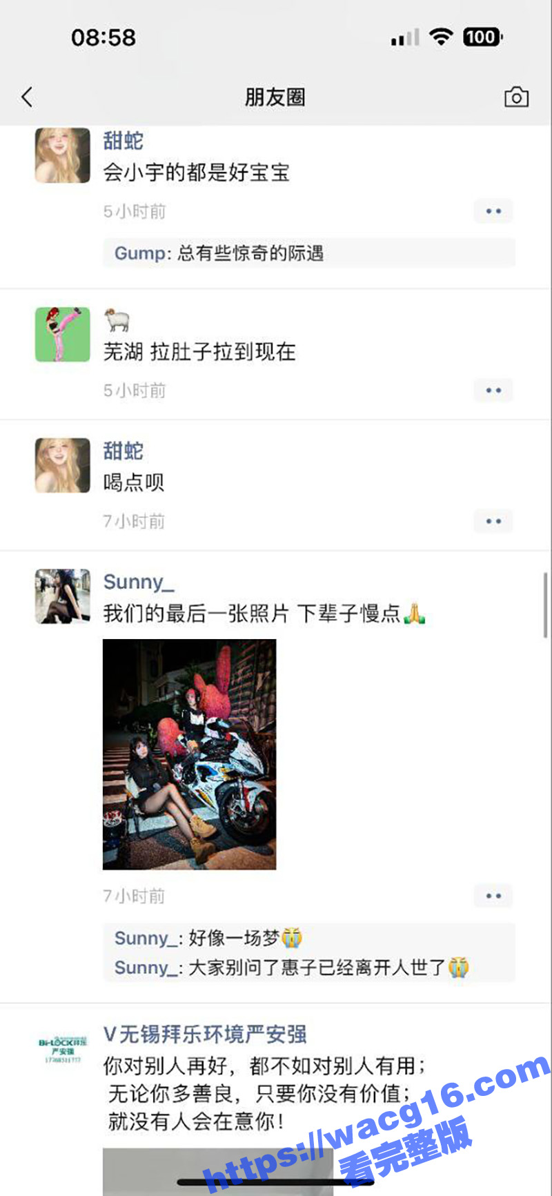 网红女骑士石膏Pro相关图片