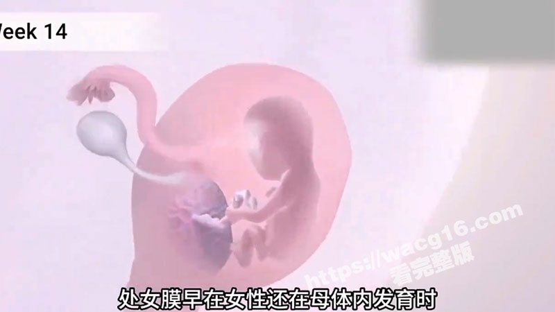 瓜友科普时间到！一起相关图片