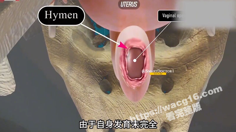 瓜友科普时间到！一起相关图片