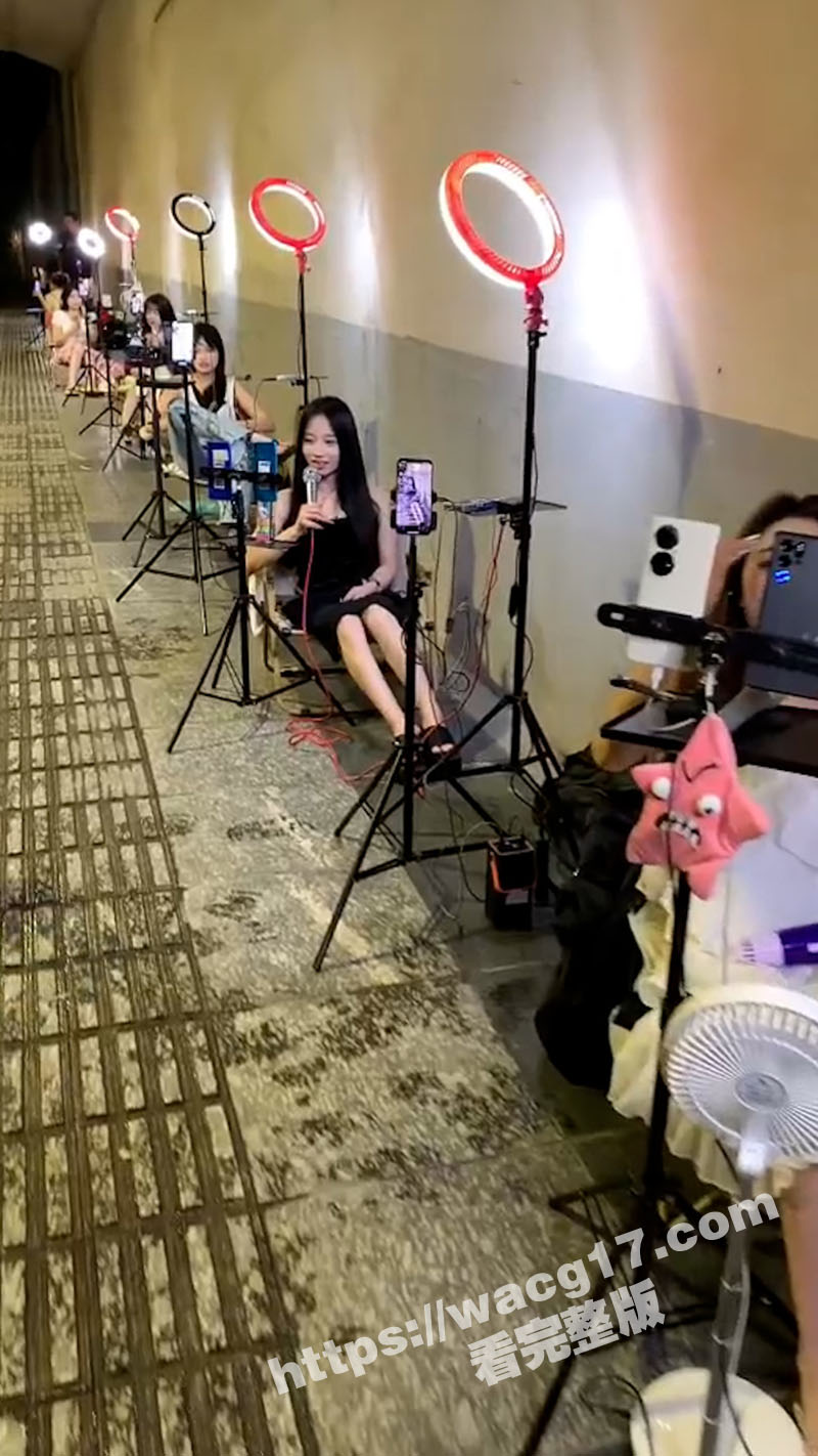 桂林南州大桥网红聚集相关图片