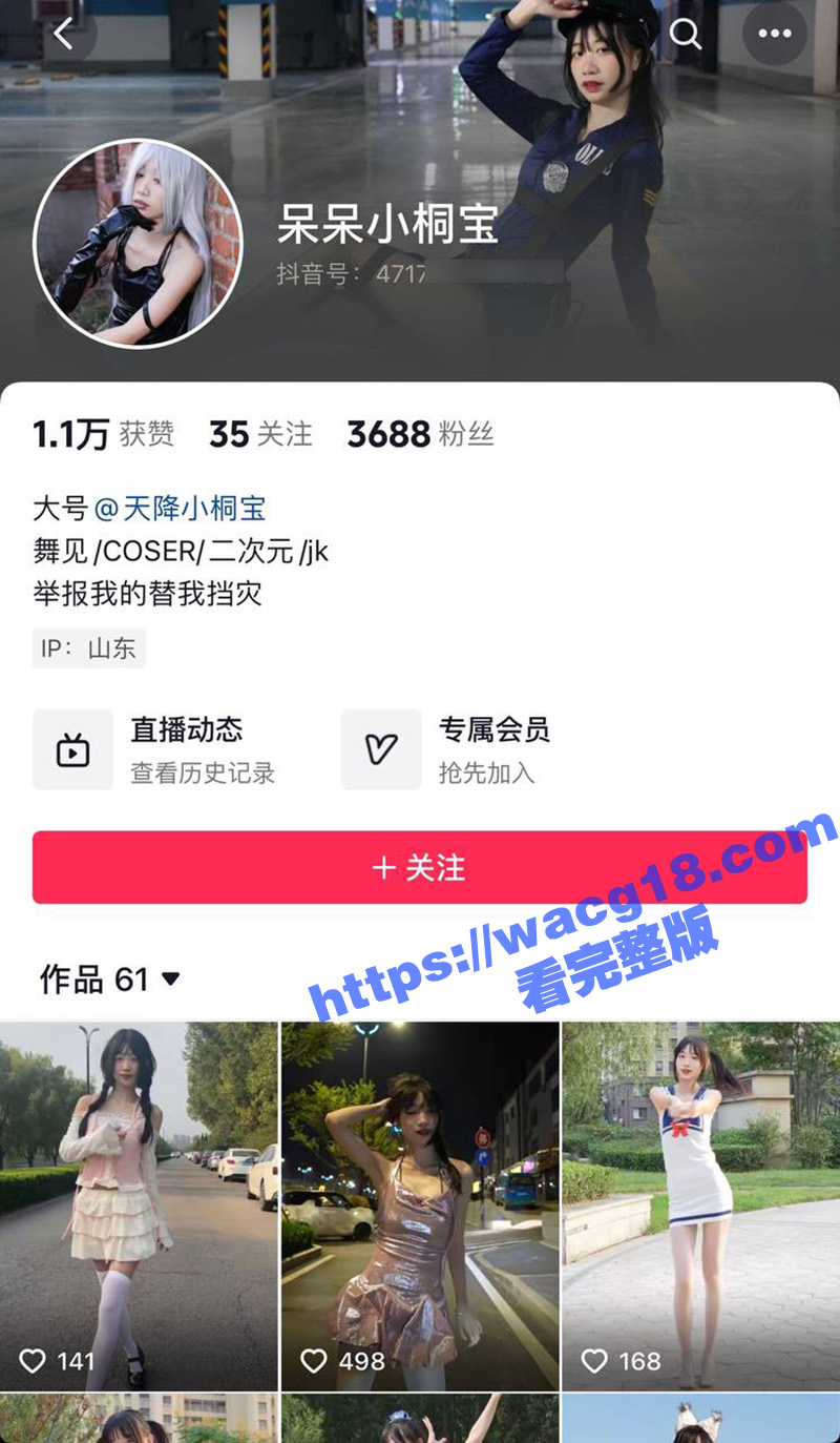 极品身材网红天降小桐相关图片