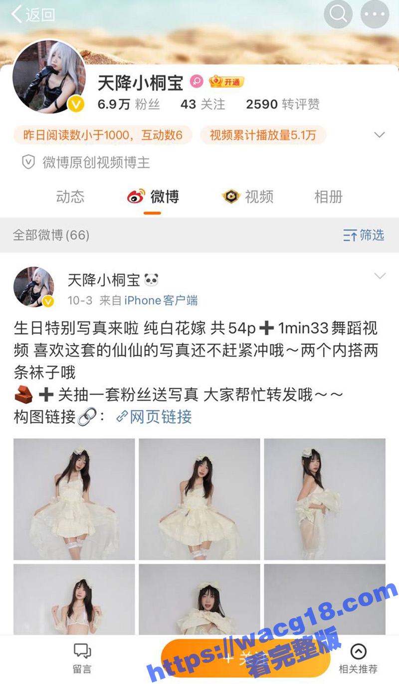 极品身材网红天降小桐相关图片