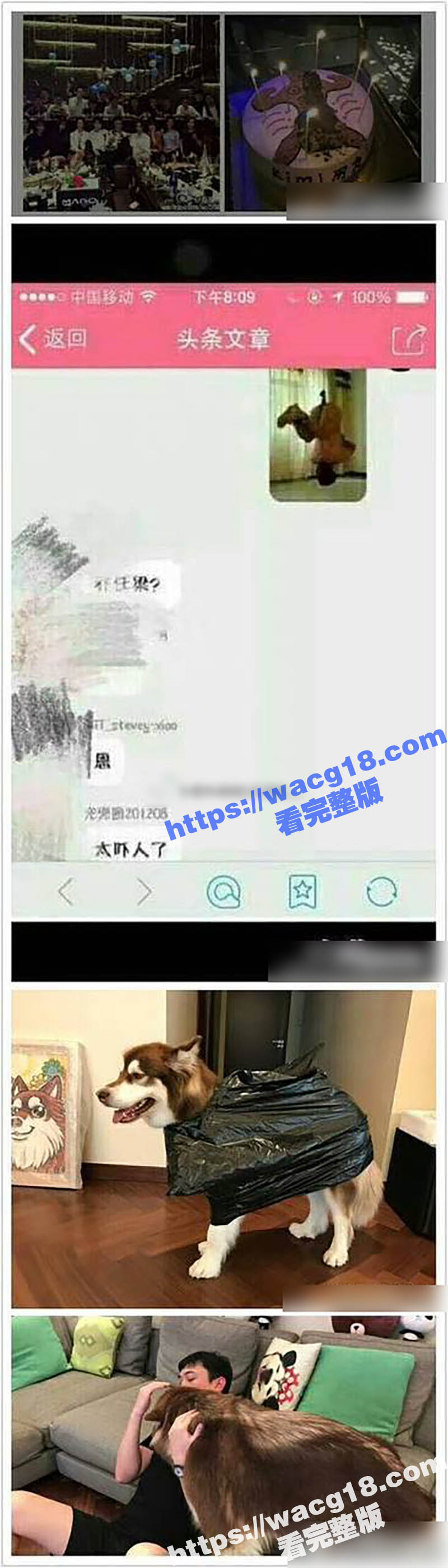 炸锅了！曝王思聪SM相关图片
