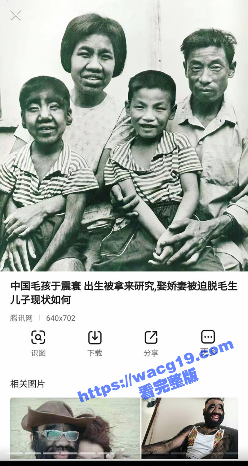 中国第一毛孩 男演员相关图片