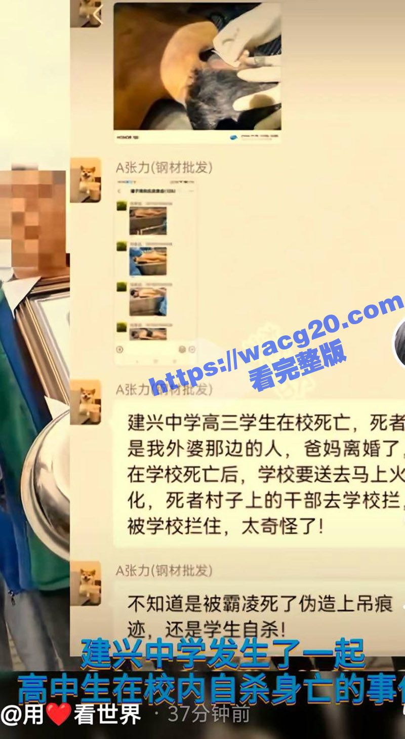 四川南充高中生 被校相关图片