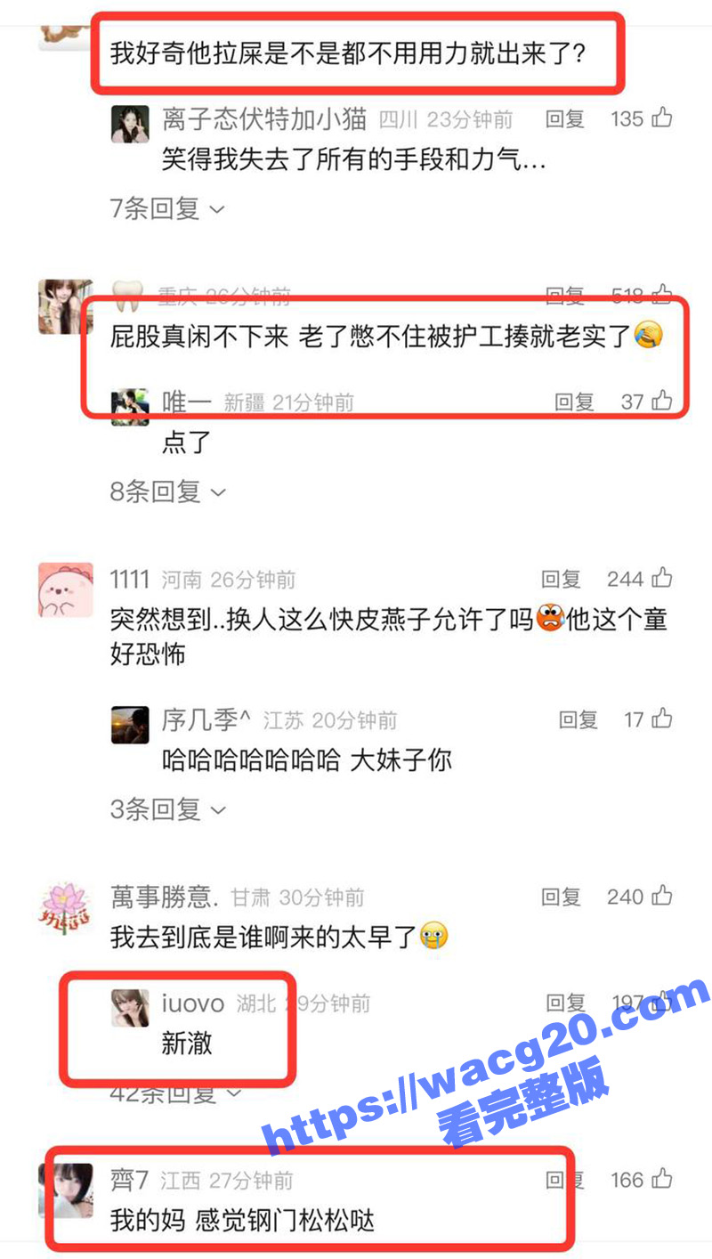 练习生新澈出道既塌房相关图片