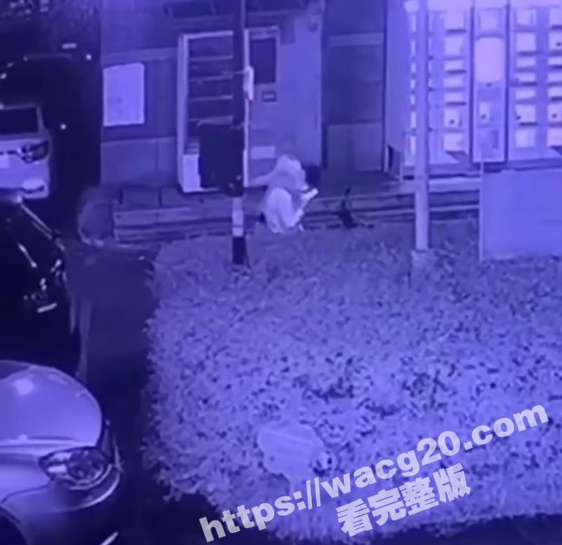 浙江杭州惊现马路痴汉相关图片